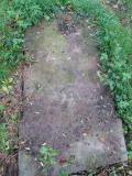 image of grave number 505691